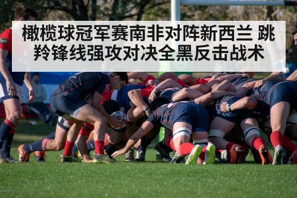 橄榄球冠军赛南非对阵新西兰 跳羚锋线强攻对决全黑反击战术