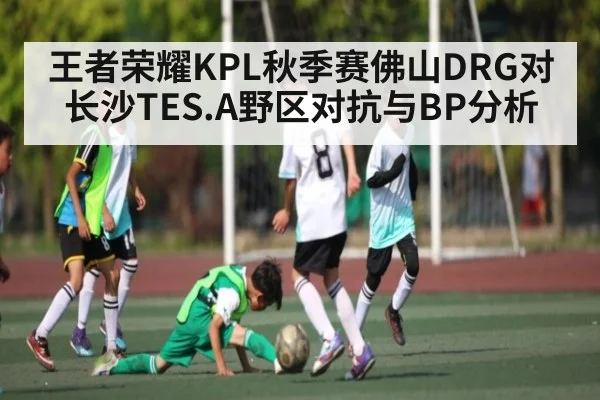 王者荣耀KPL秋季赛佛山DRG对长沙TES.A野区对抗与BP分析